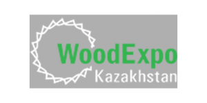 Wiid Expo Logo